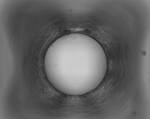 X0000100851393200806200751