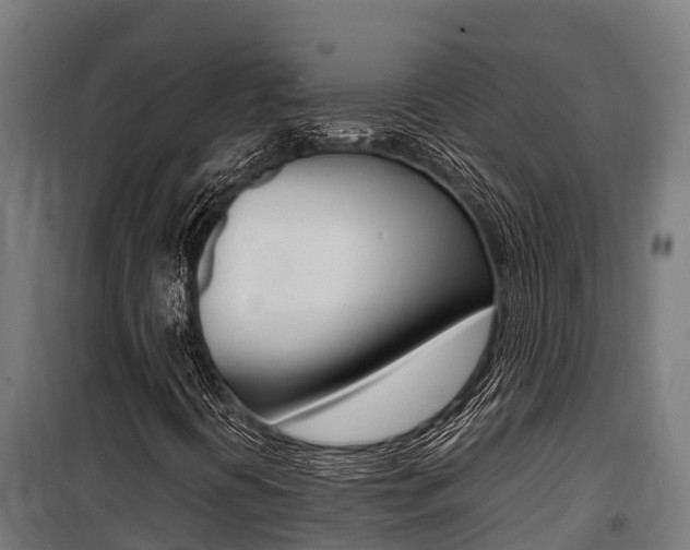 X0000100851394200806200751
