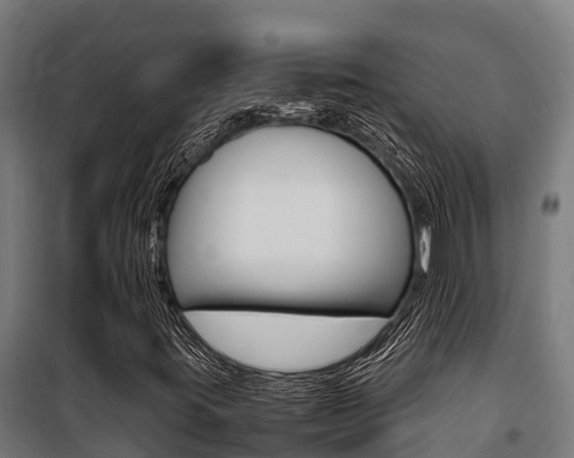 X0000100851395200806200751
