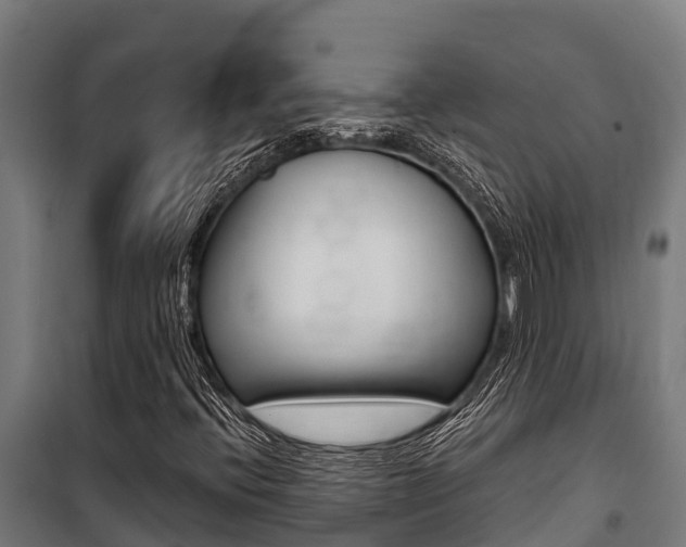 X0000100851396200806200751