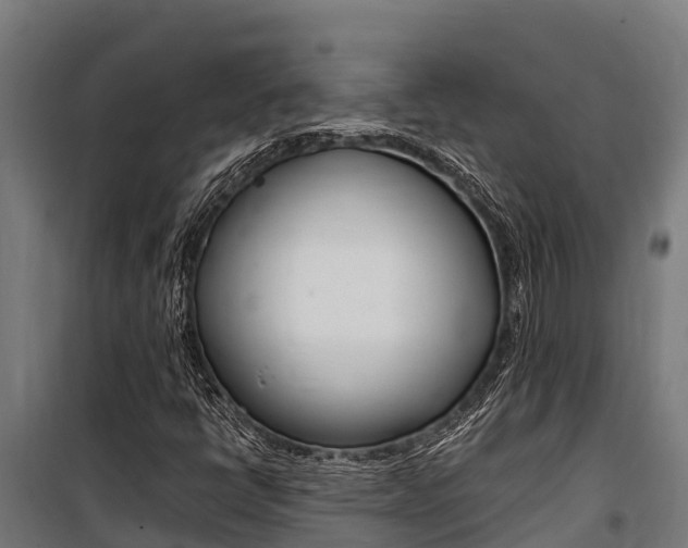 X0000100851398200806200751