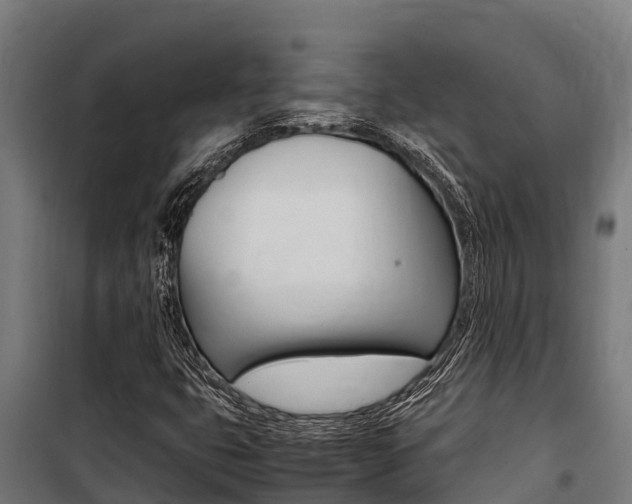 X0000100851399200806200751
