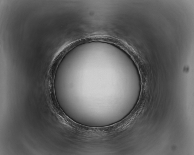 X0000100851400200806200751