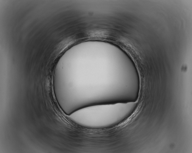 X0000100851401200806200751