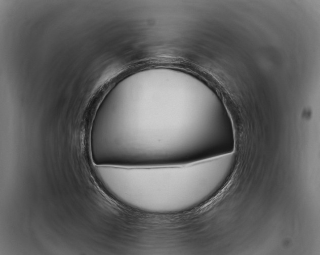 X0000100851402200806200751