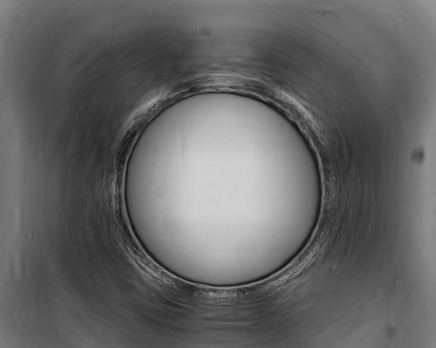 X0000100851403200806200751