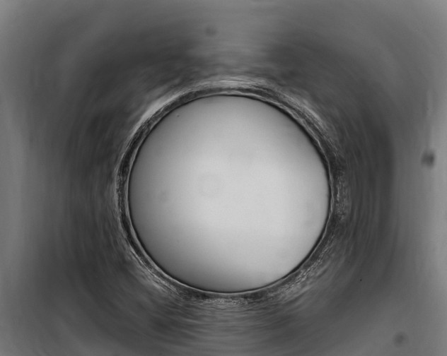 X0000100851404200806200751