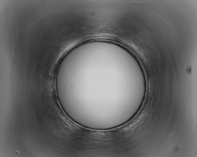 X0000100851405200806200751