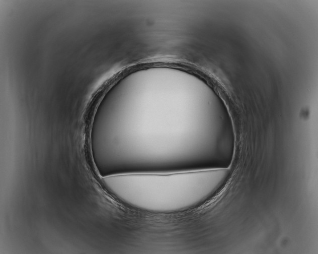 X0000100851406200806200751