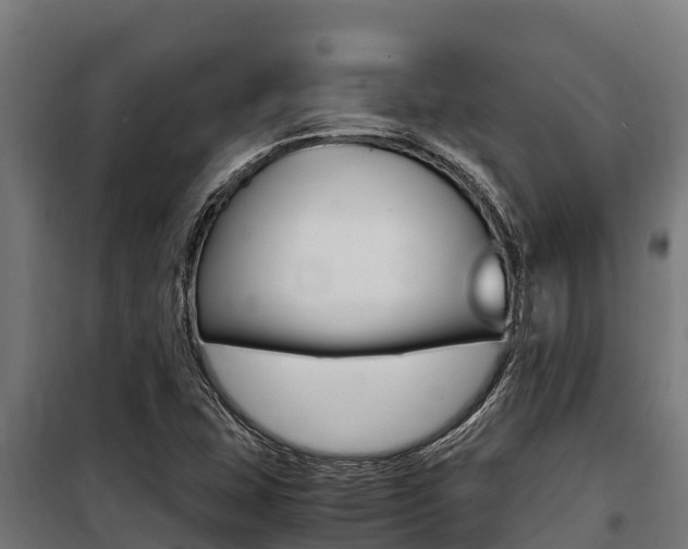 X0000100851407200806200751