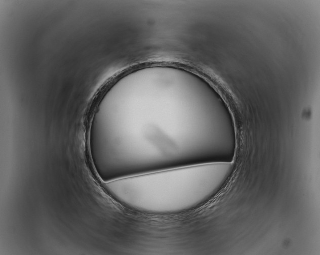 X0000100851408200806200751