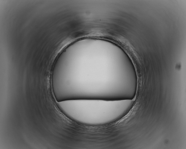 X0000100851409200806200751