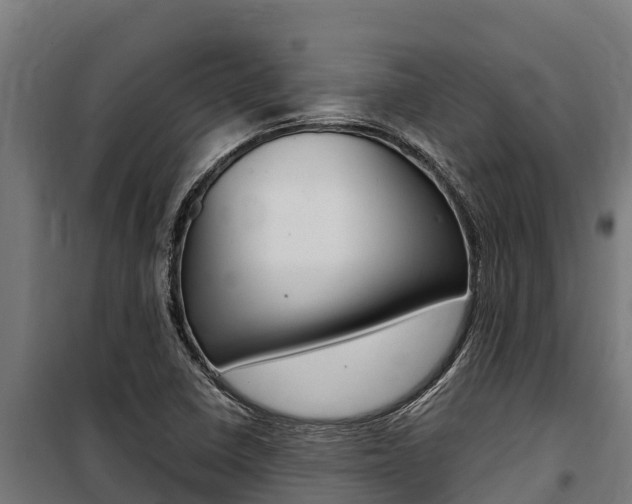 X0000100851410200806200751