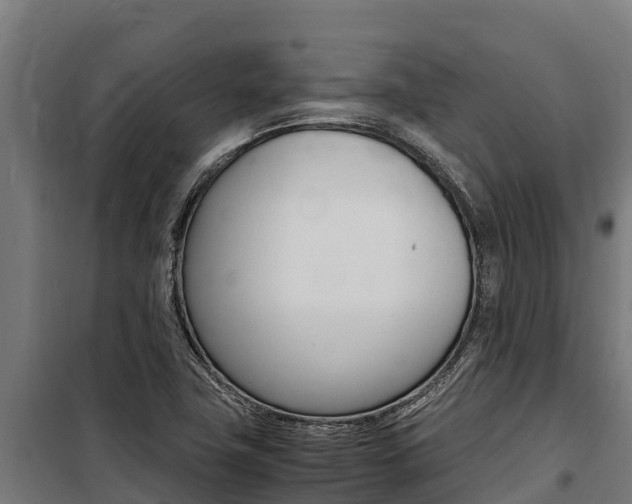 X0000100851411200806200751