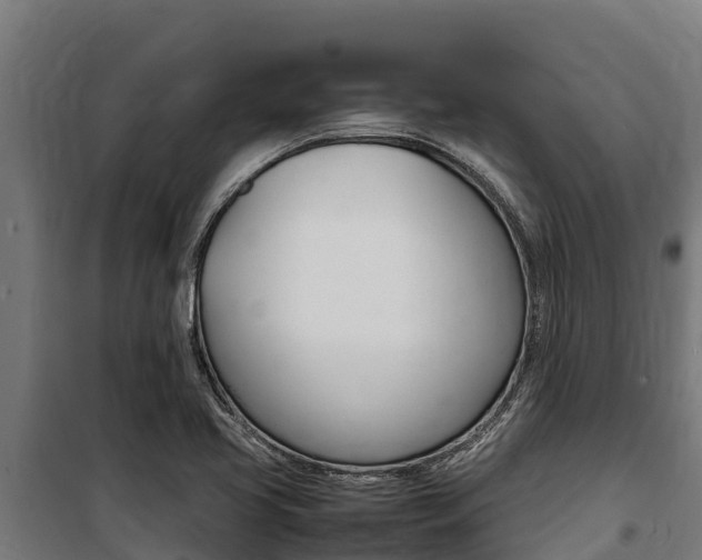X0000100851413200806200751