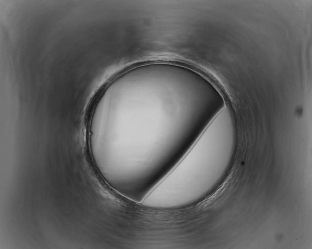 X0000100851414200806200751