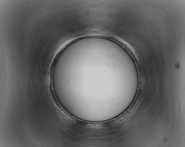 X0000100851415200806200751