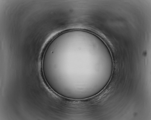 X0000100851416200806200751