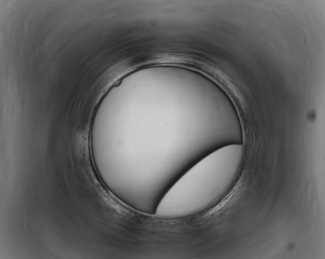 X0000100851417200806200751