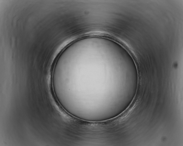 X0000100851418200806200751