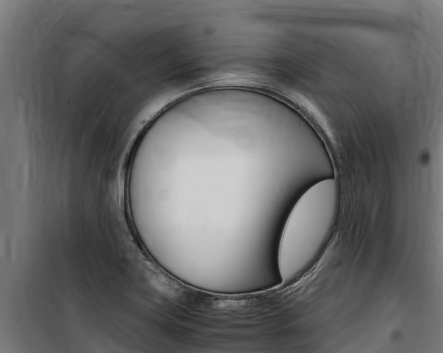 X0000100851419200806200751