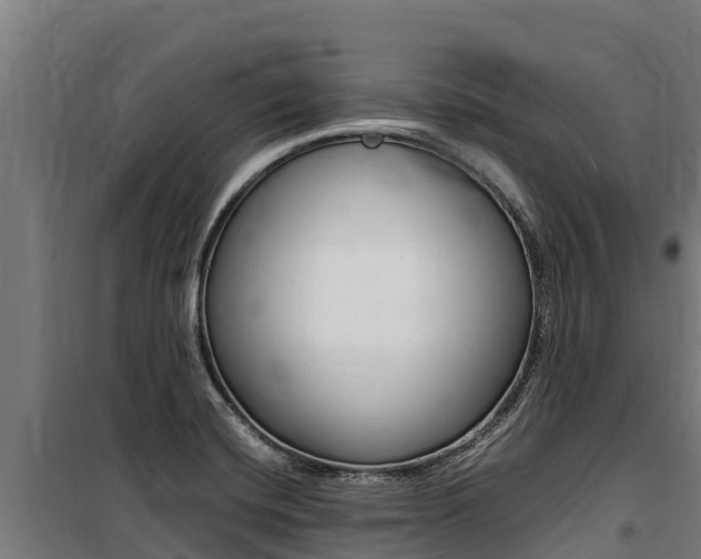 X0000100851420200806200751