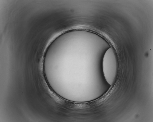 X0000100851421200806200751