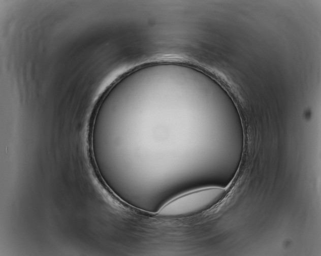 X0000100851422200806200751