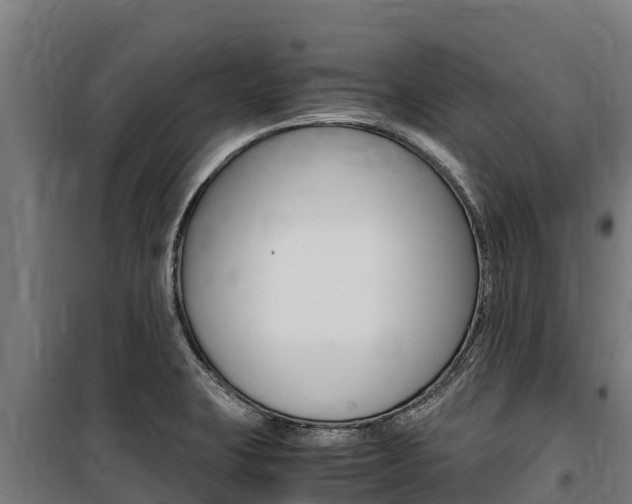 X0000100851423200806200751