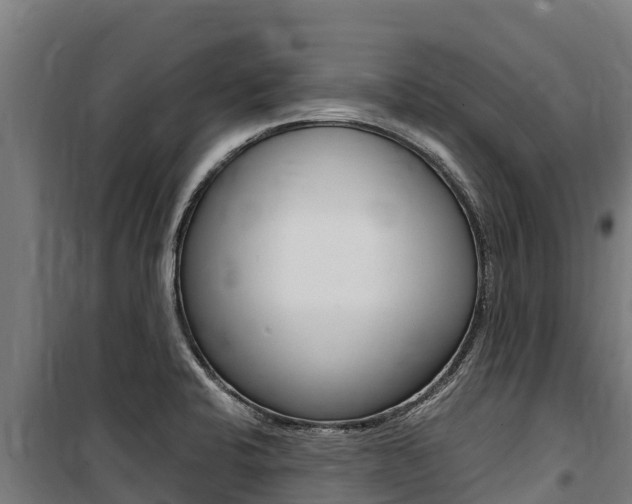 X0000100851424200806200751