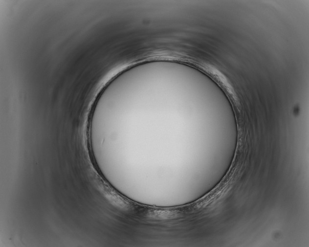X0000100851427200806200751