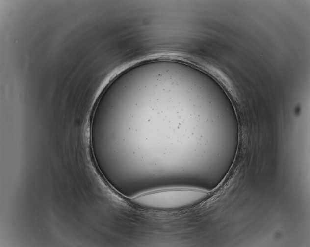 X0000100851428200806200751
