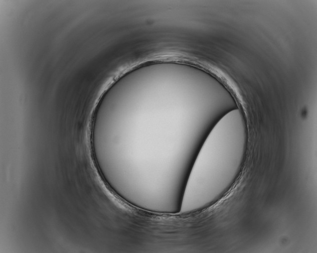 X0000100851429200806200751