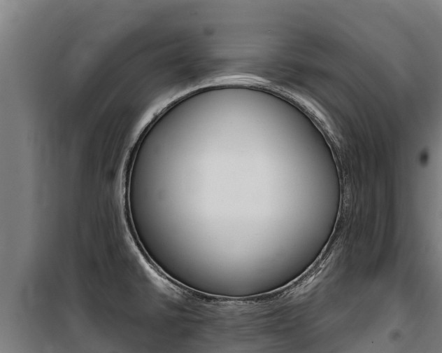 X0000100851430200806200751