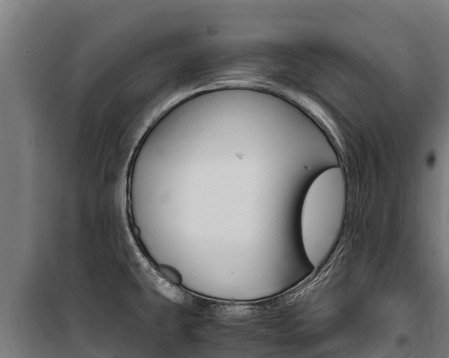 X0000100851431200806200751