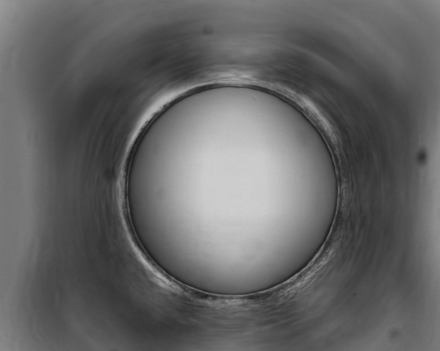 X0000100851432200806200751