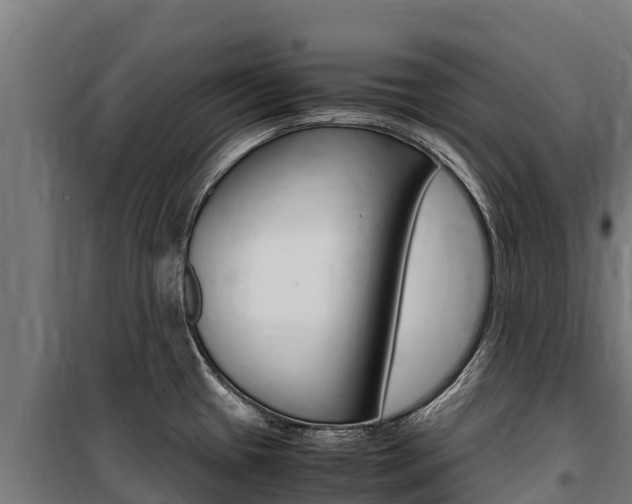 X0000100851433200806200751