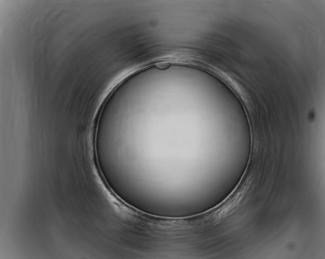 X0000100851434200806200751