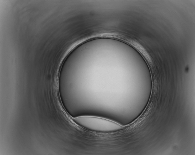 X0000100851436200806200751