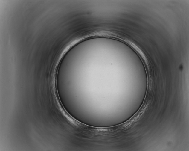 X0000100851437200806200751