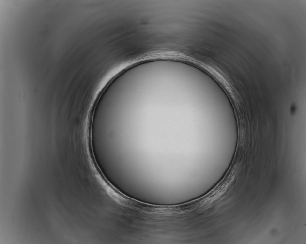 X0000100851438200806200751