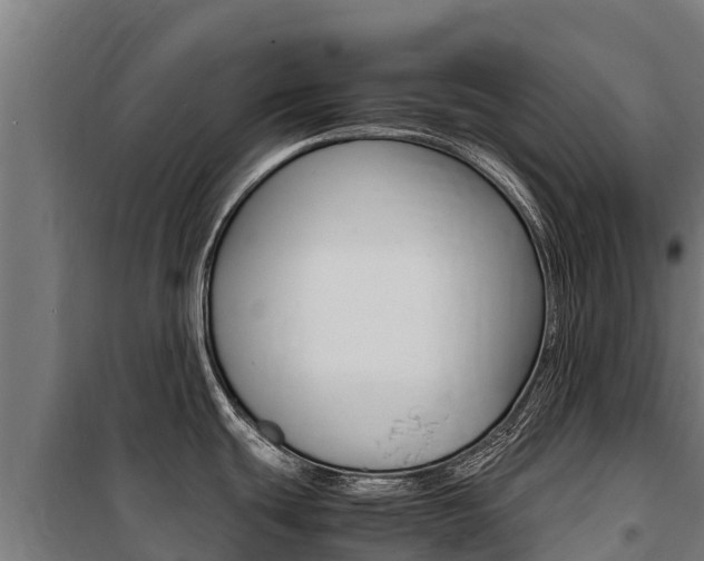 X0000100851439200806200751
