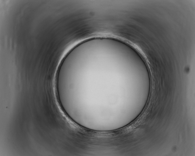 X0000100851440200806200752