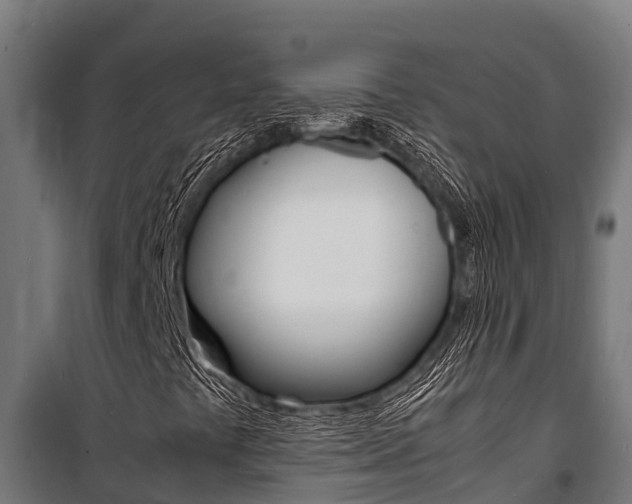 X0000100851441200806200751