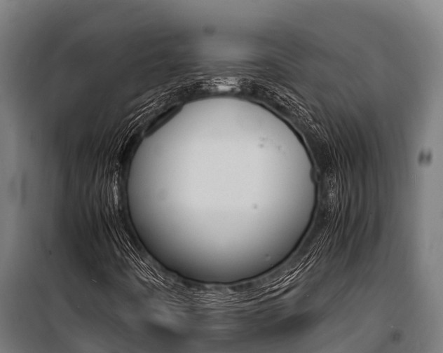 X0000100851442200806200751