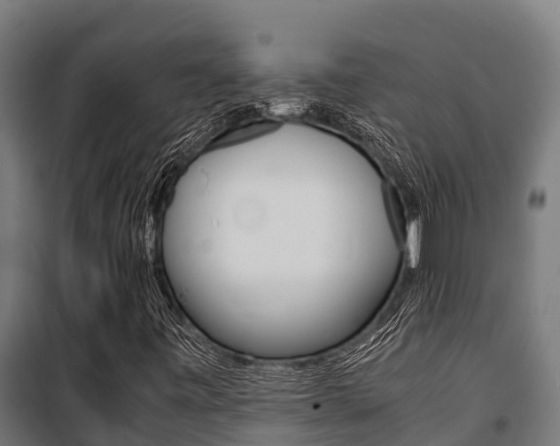 X0000100851443200806200751
