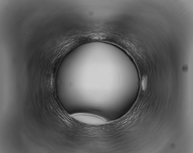 X0000100851444200806200751
