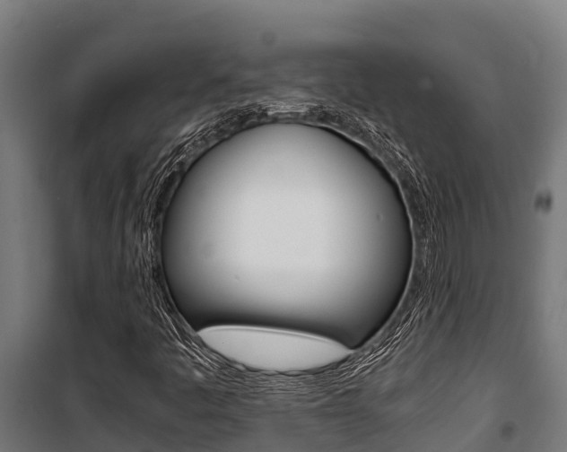 X0000100851445200806200751