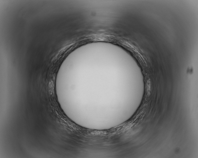 X0000100851446200806200751