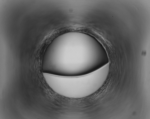 X0000100851447200806200751